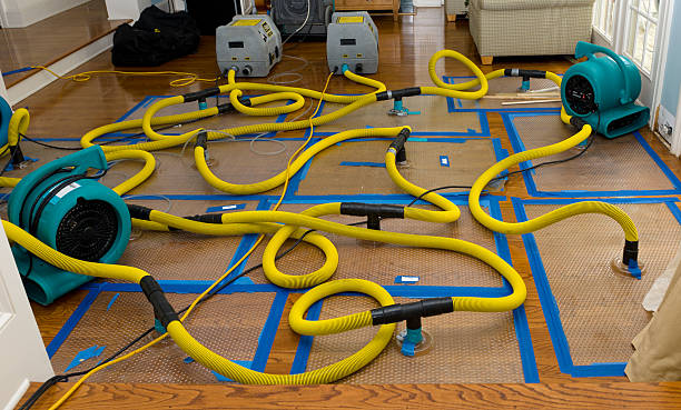 Professional Basement Flood Cleanup technician working in Middletown, IN
